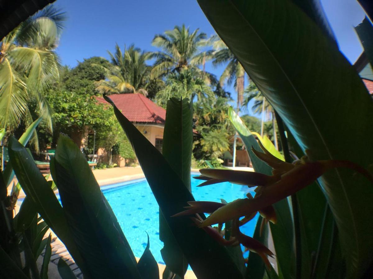 Samui Green Space Resort Mae Nam Exterior foto
